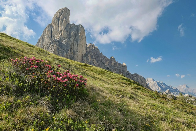 miele di rododendro